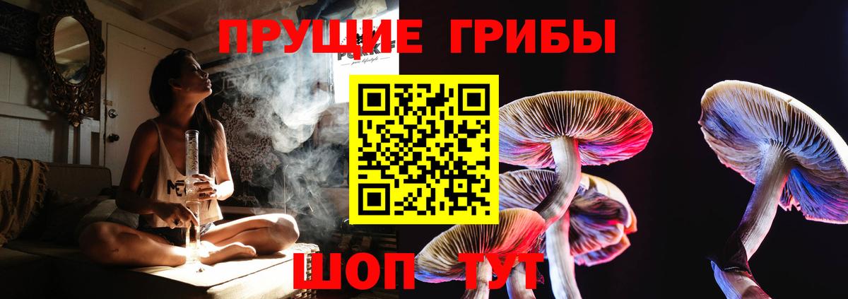 Галлюциногенные грибы GOLDEN TEACHER  Вход с VPN  Елизово 